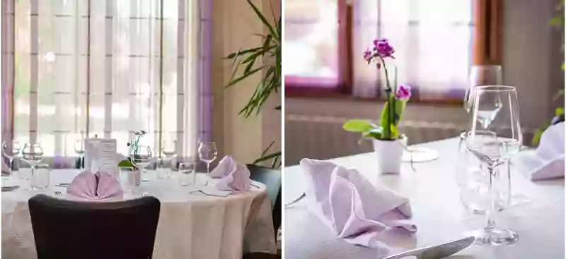 Le restaurant - La Bonne Étape - Restaurant Amboise - Restaurant Amboise terrasse